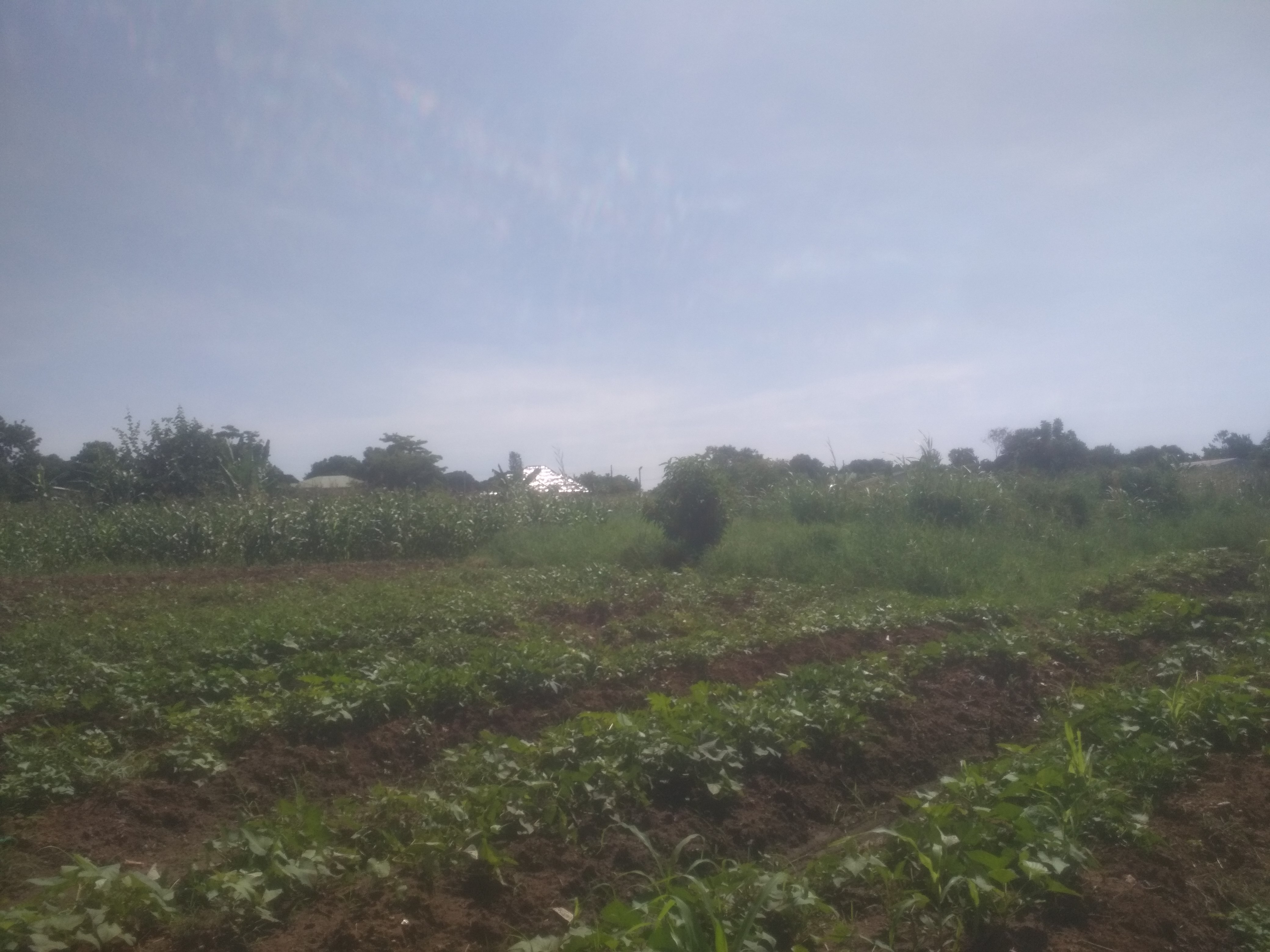 land for sale in Zomba, Malawi