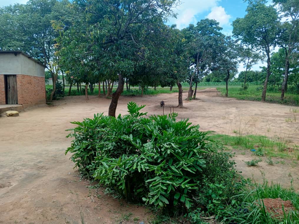 land for sale in Mchinji, Malawi