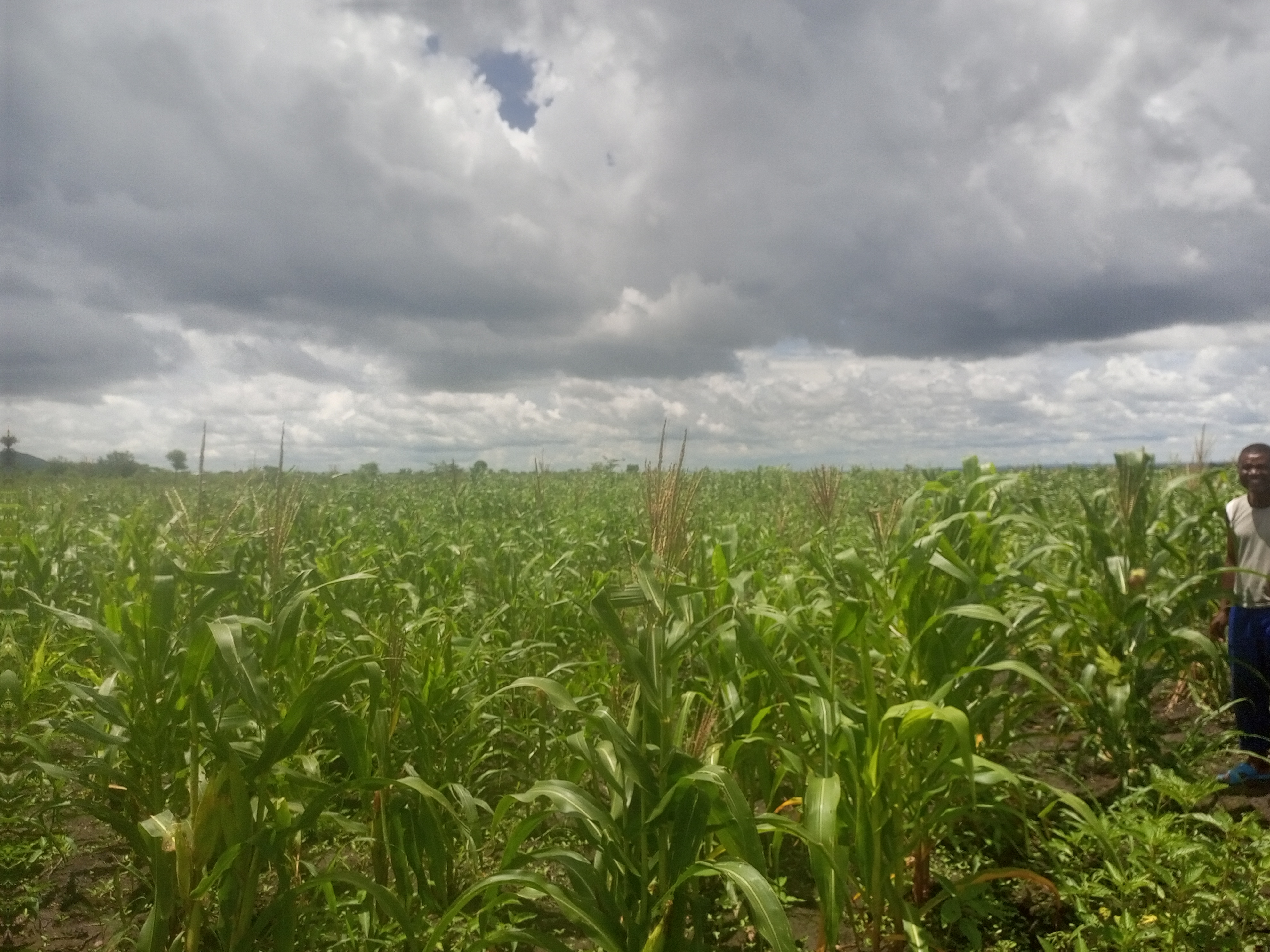 land for sale in Blantyre, Malawi