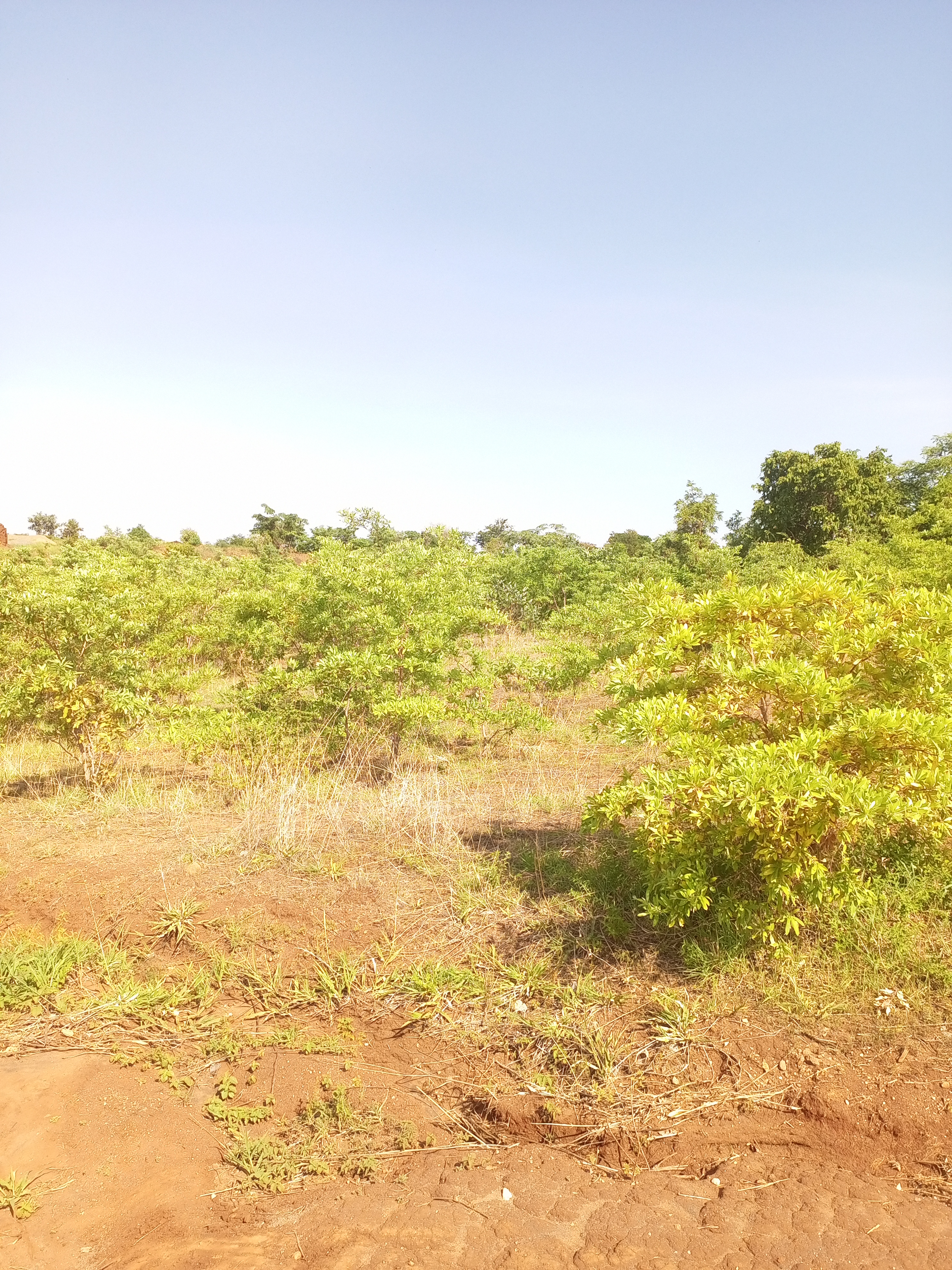 land for sale in Blantyre, Malawi